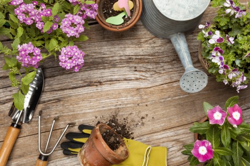 Cookie policy introduction for Landscaping Lewisham
