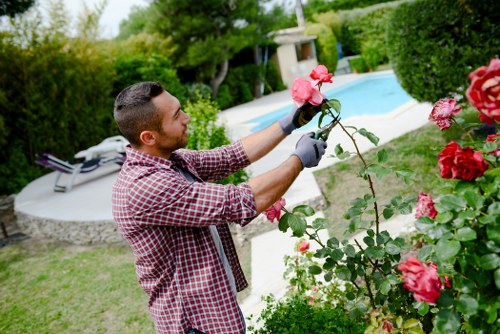 Professional lawn turfing work in a southeast London garden
