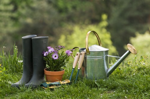 Landscape contractor reviewing a garden project plan