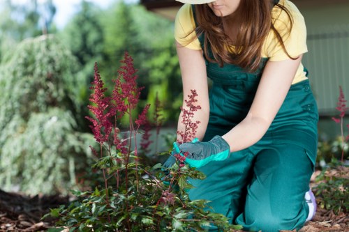 Landscaper assessing payment stages and project scope