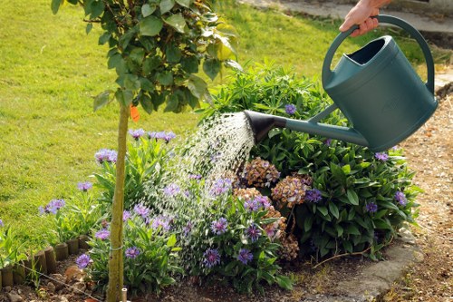 Final review stage of a landscaping complaint procedure