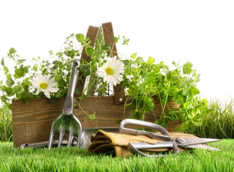 Booking confirmation and quotation documents for landscaping services