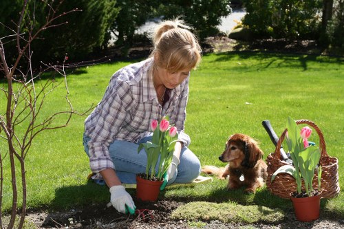 Annual modern slavery review in landscaping operations image