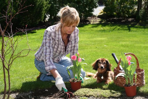 Local garden transformation featuring paving, borders, and low-maintenance design