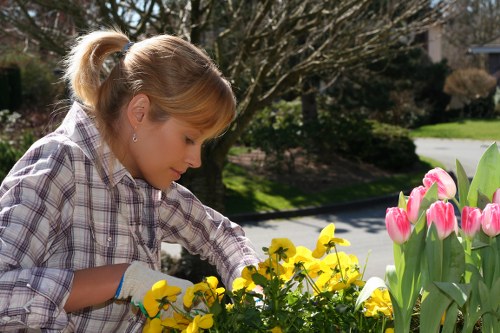 Keyboard navigation support for Lewisham landscaping website pages