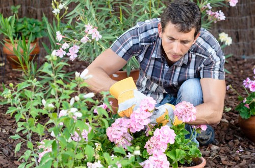Accessibility review of Landscaping Lewisham content and page structure